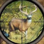 Ondo pastor shoots self during deer hunt