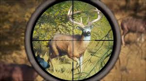 Ondo pastor shoots self during deer hunt