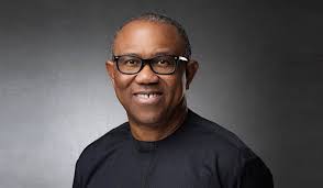 CAN probes alleged N2bn donation from Peter Obi